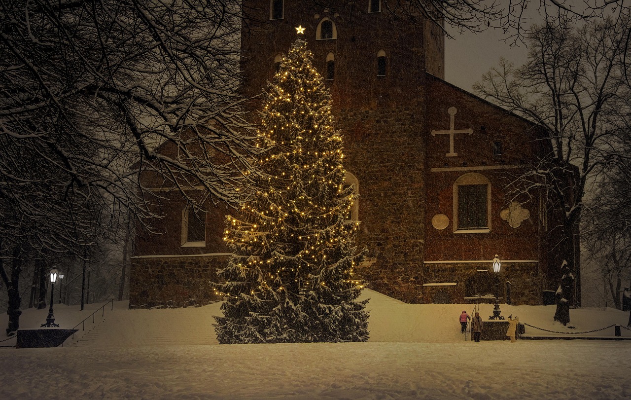 Qu'est-ce qu'un sapin, au juste ?