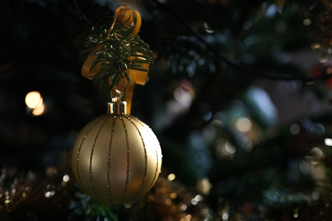 Quand et comment installer votre sapin de Noël ?, Sapins de noel
