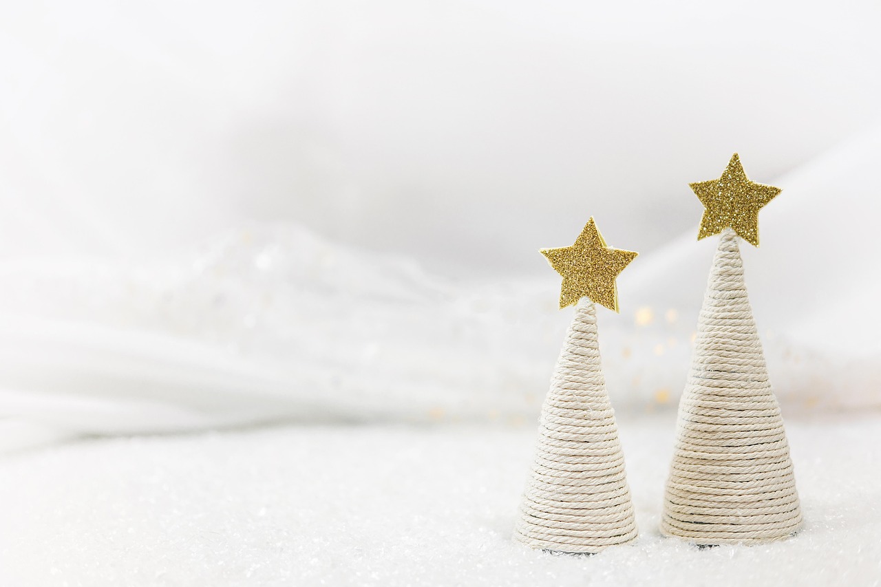 Prix sapin nordmann : Prix du sapin Nordmann : ce qui fait le juste tarif