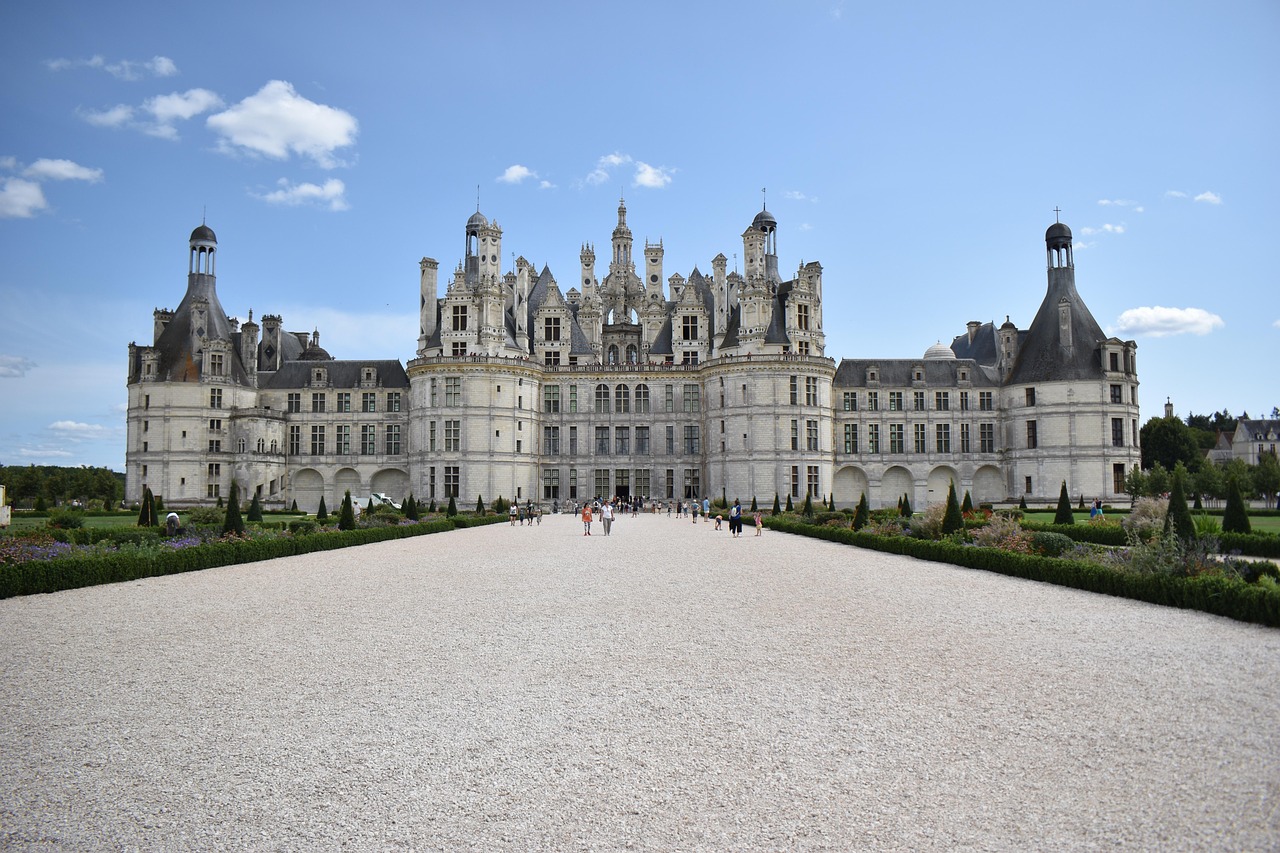 Quelles essences pour votre Noël ligérien ?, Loire