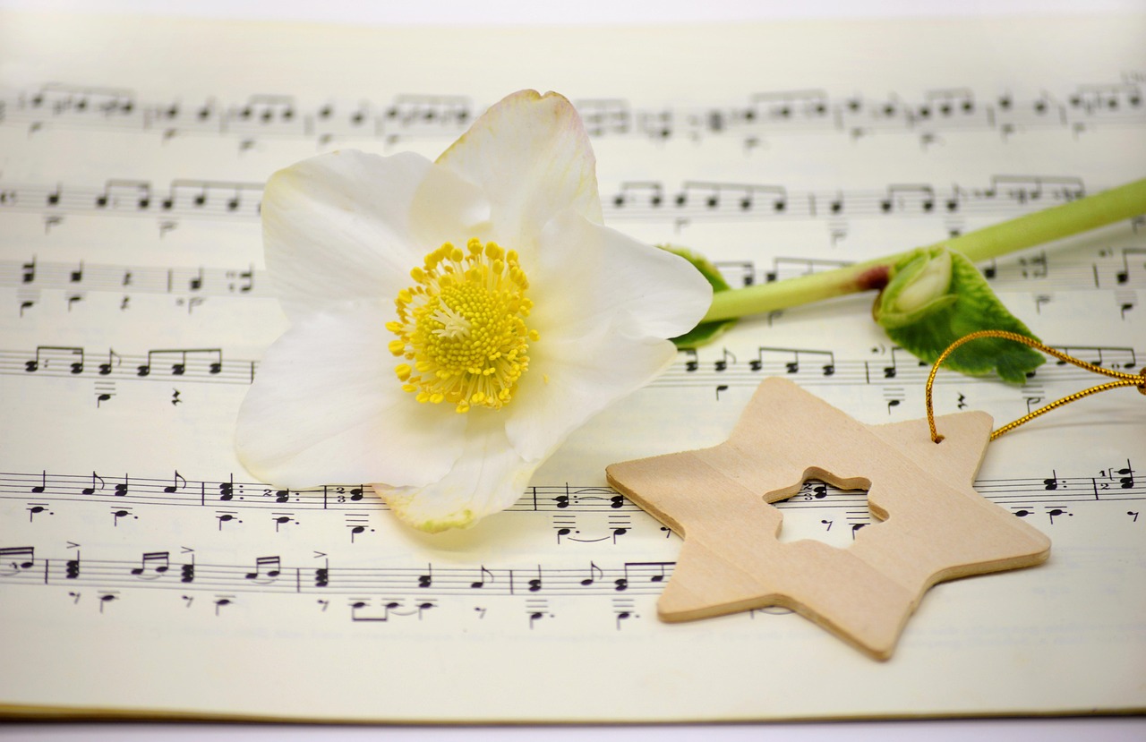 Pourquoi ces chansons sont-elles idéales pour Noël ?, Chant de noel
