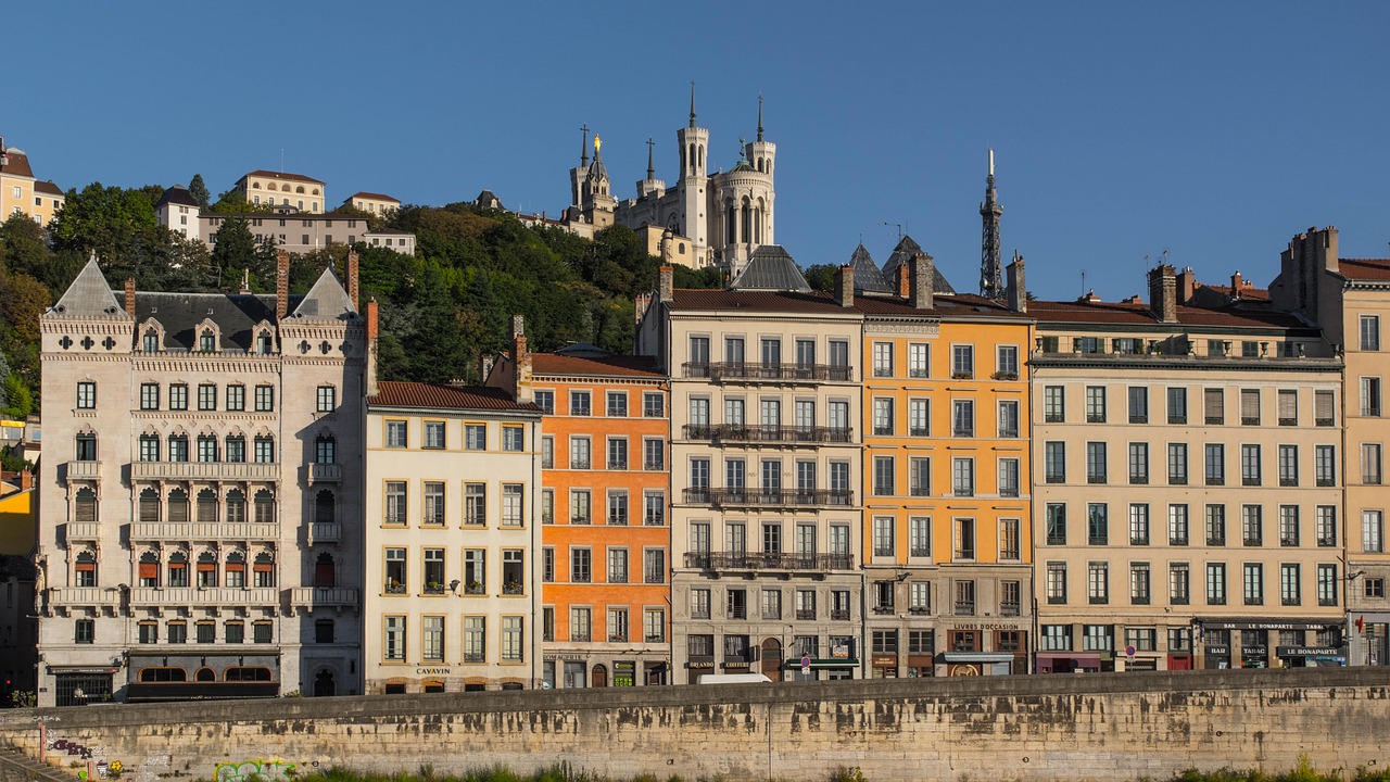 Sapins lyon : Sapins à Lyon : le guide pour choisir un sapin naturel